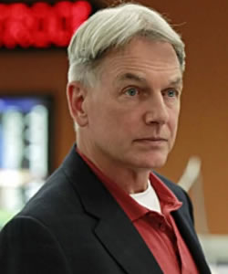 Leroy Jethro Gibbs